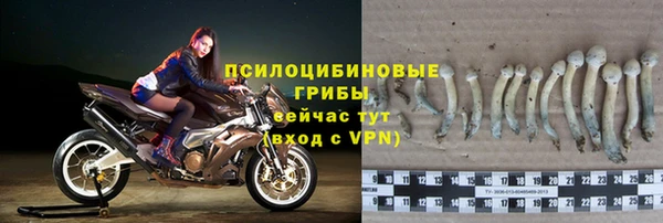 молекула духа Баксан