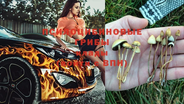 молекула духа Баксан