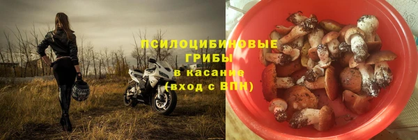 молекула духа Баксан