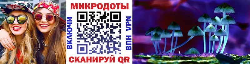 Псилоцибиновые грибы мицелий Шагонар